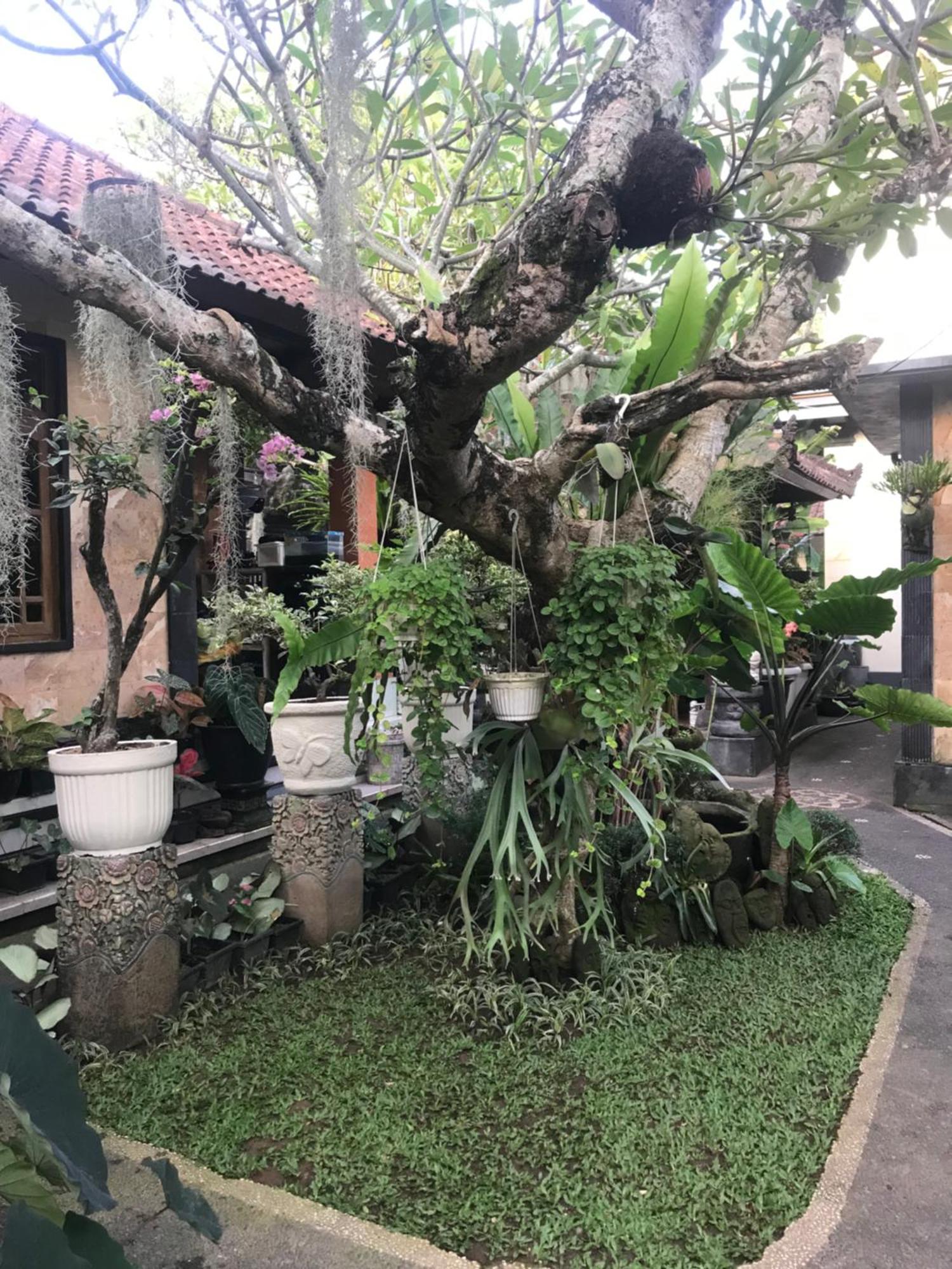 Gus Arditya Homestay Ουμπούντ Εξωτερικό φωτογραφία