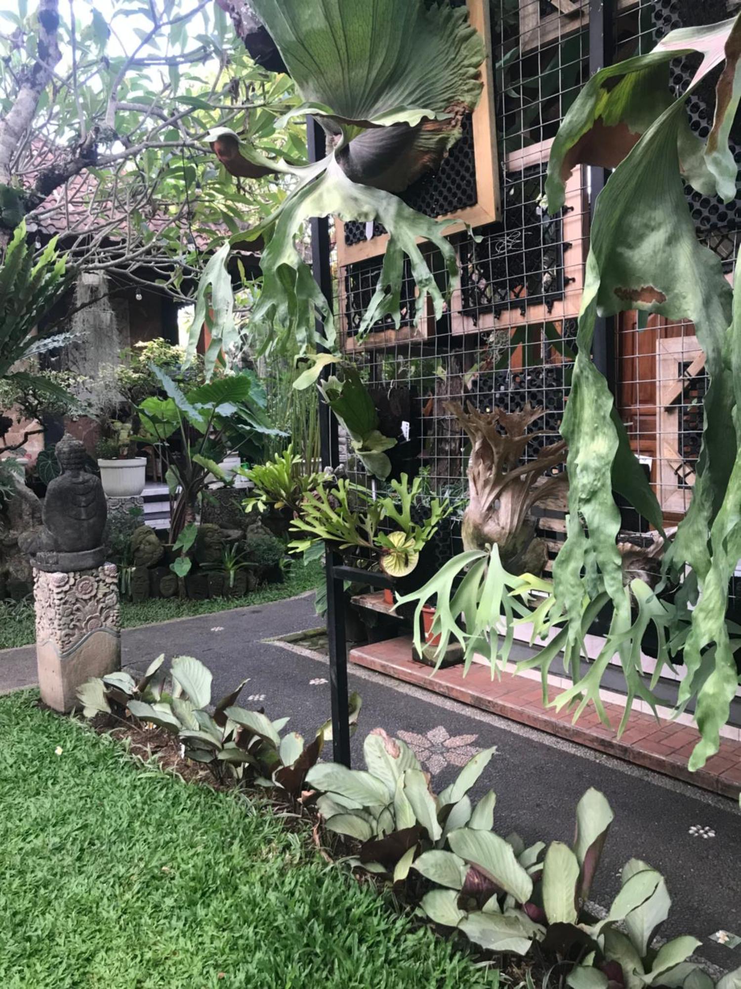 Gus Arditya Homestay Ουμπούντ Εξωτερικό φωτογραφία