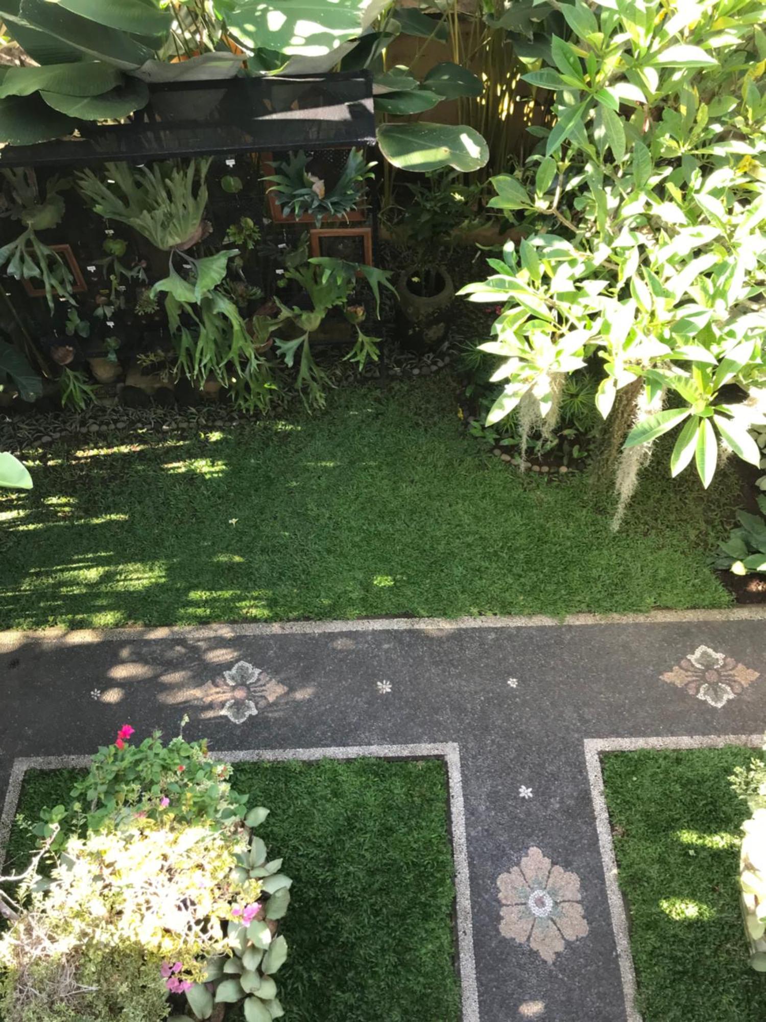 Gus Arditya Homestay Ουμπούντ Εξωτερικό φωτογραφία