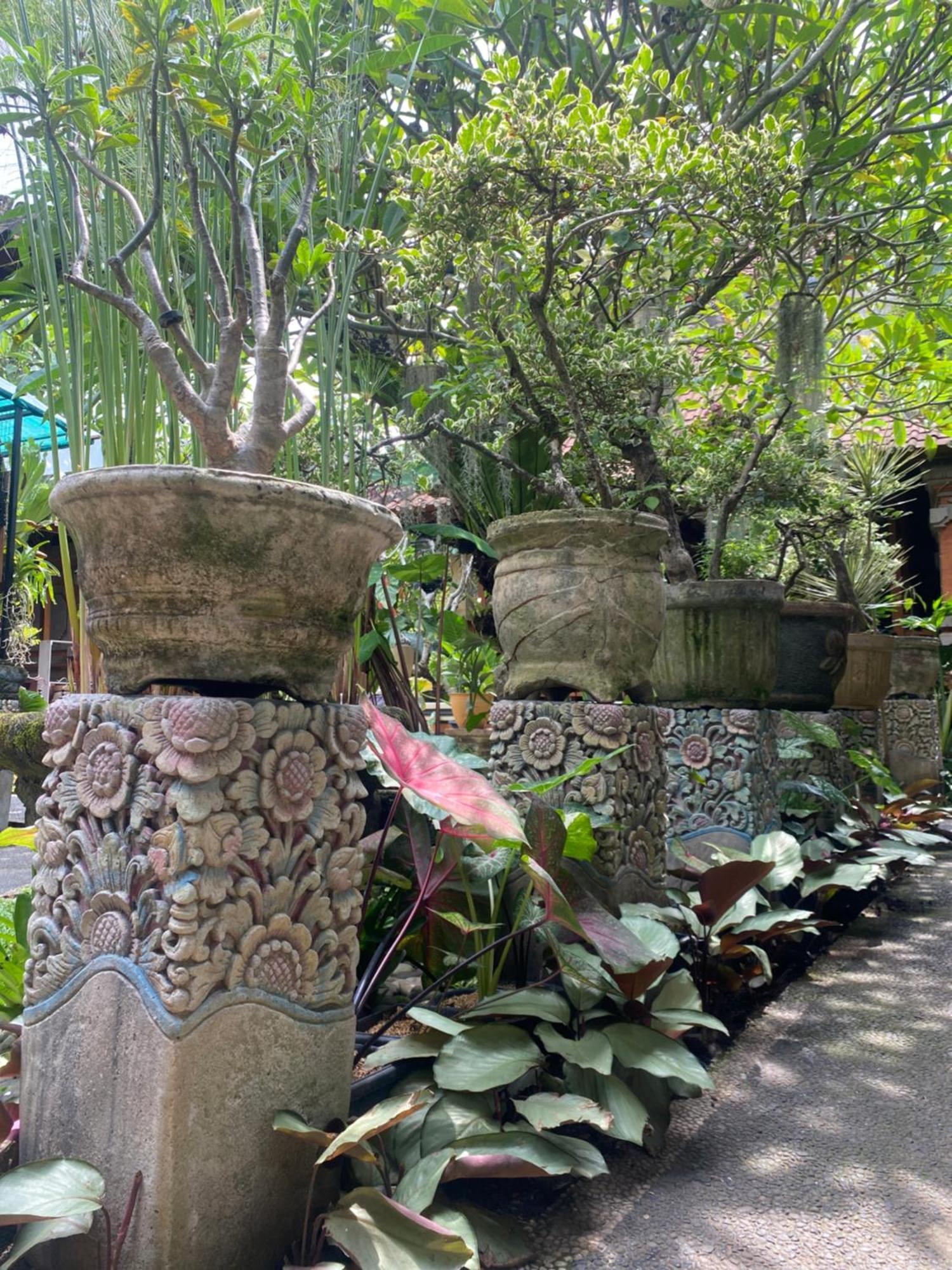Gus Arditya Homestay Ουμπούντ Εξωτερικό φωτογραφία
