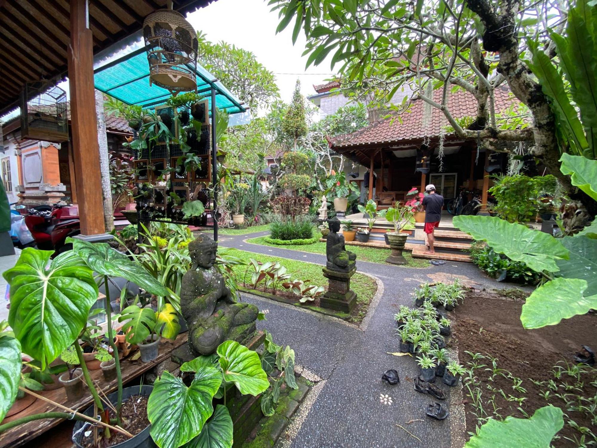 Gus Arditya Homestay Ουμπούντ Εξωτερικό φωτογραφία