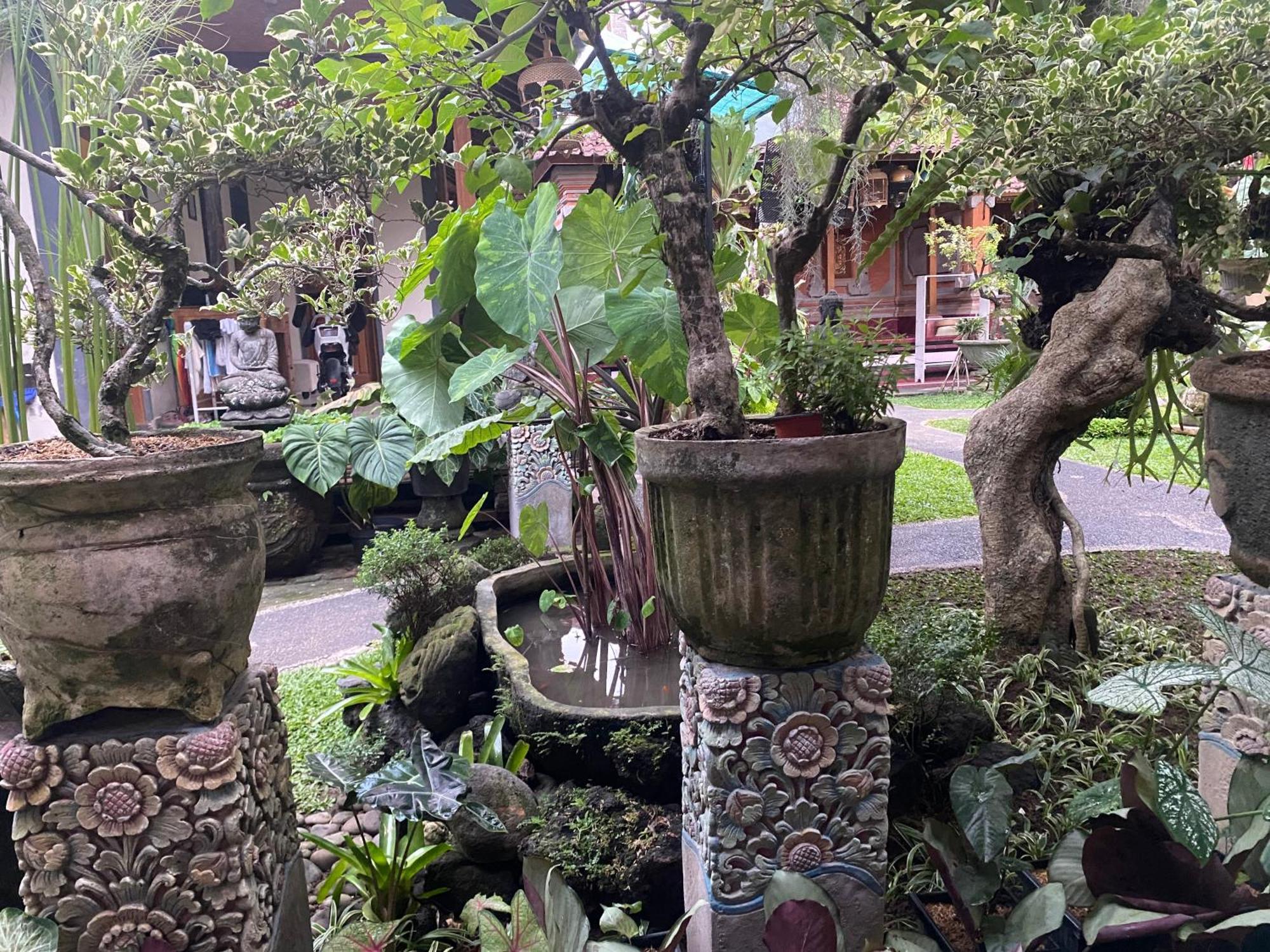 Gus Arditya Homestay Ουμπούντ Εξωτερικό φωτογραφία