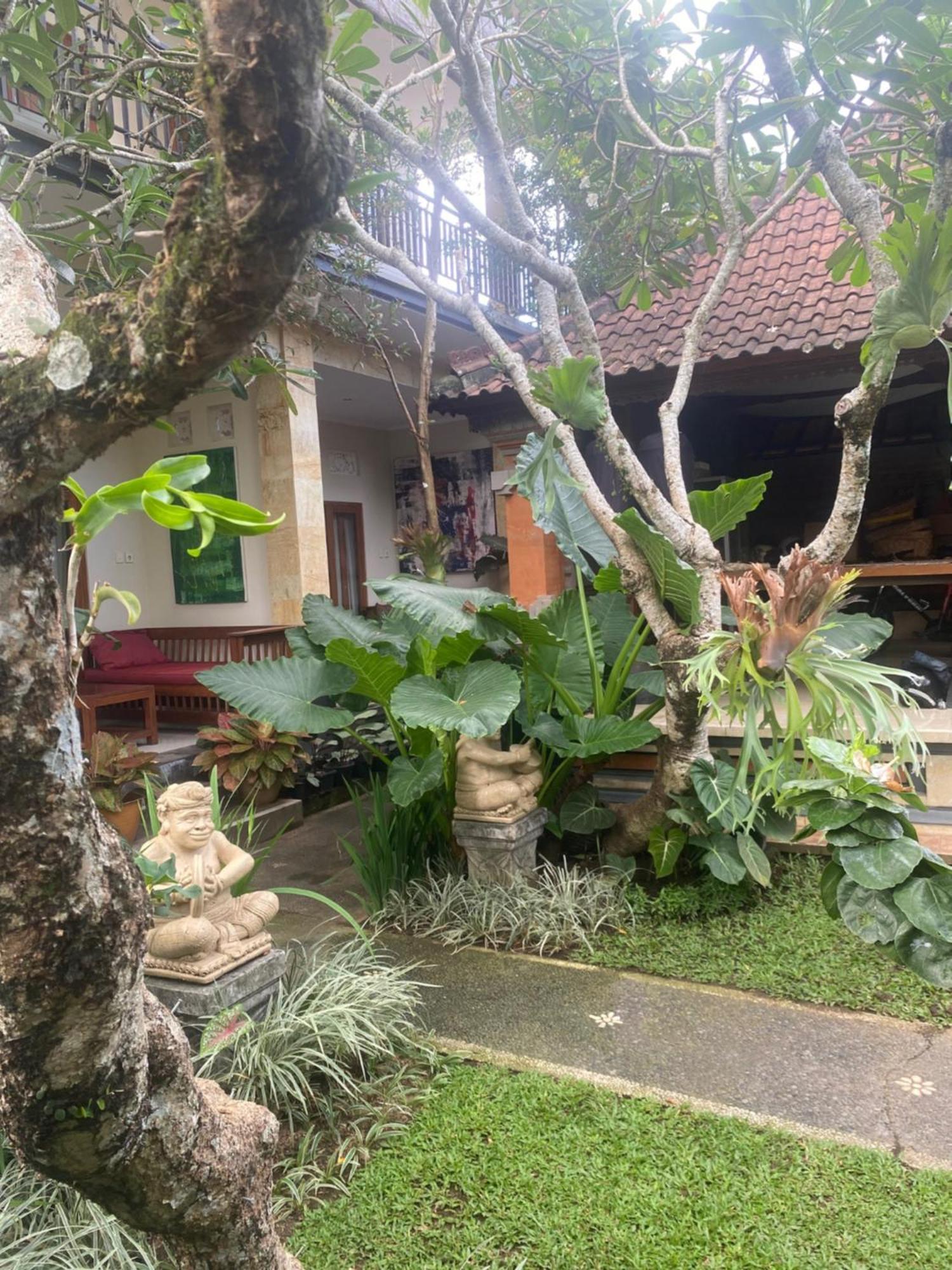 Gus Arditya Homestay Ουμπούντ Εξωτερικό φωτογραφία