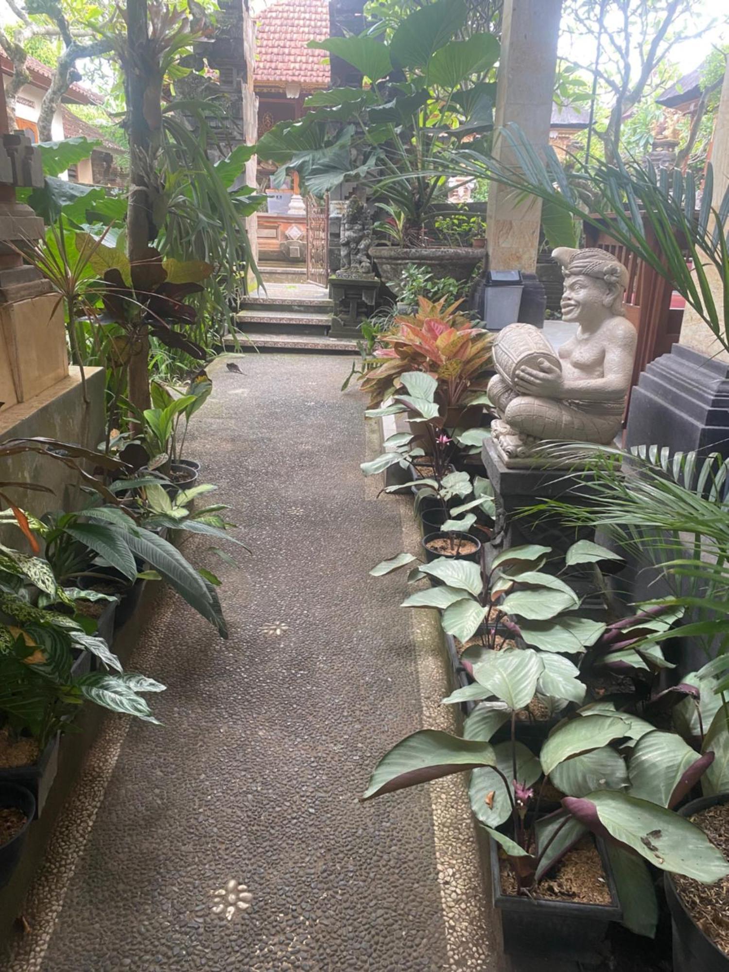 Gus Arditya Homestay Ουμπούντ Εξωτερικό φωτογραφία