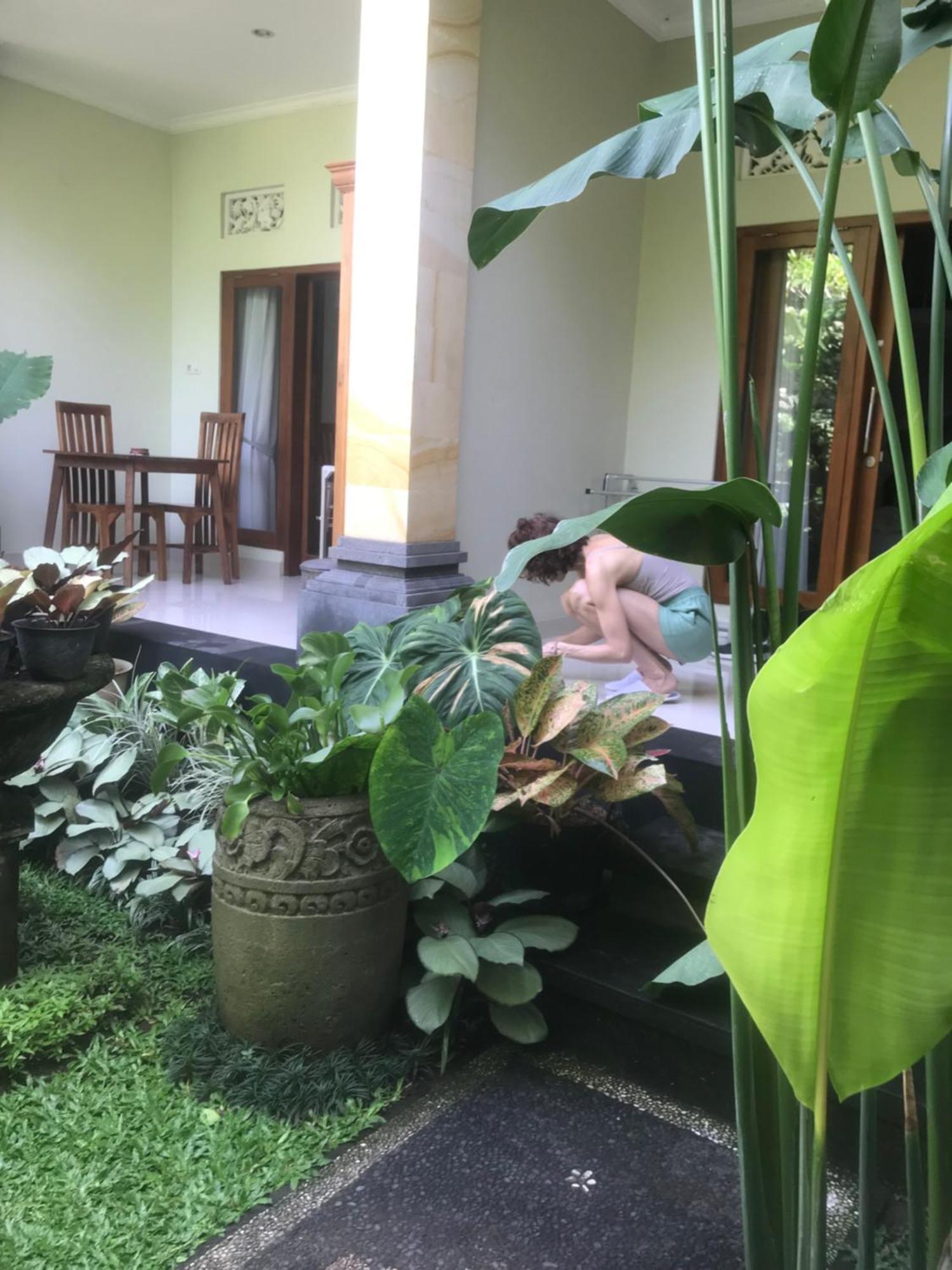Gus Arditya Homestay Ουμπούντ Εξωτερικό φωτογραφία